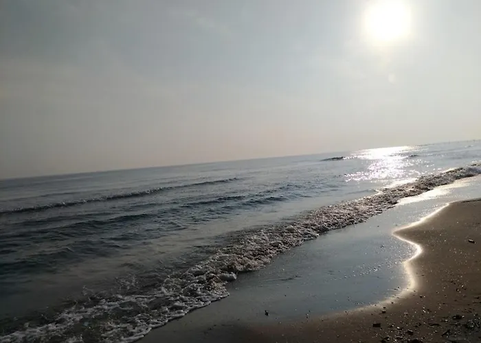 ホテル Kursaal - Fronte Mare Con Piscina